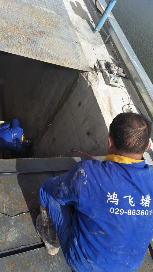 錦州與蘇州防水堵漏市場(chǎng)概況 廠家選擇與報(bào)價(jià)因素解析